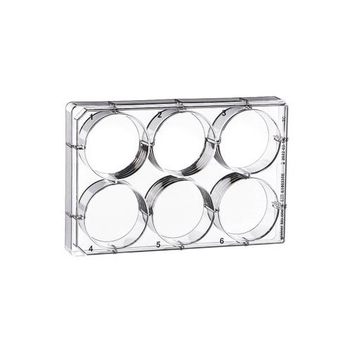 657960 • Greiner BioOne® Cellstar® Cell Culture Plate, 6well, Flat