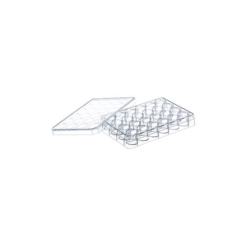 662102 • Greiner BioOne® Cellstar® Cell Culture Plate, 24well, Flat