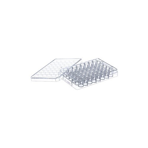 677102 • Greiner BioOne® Cellstar® Cell Culture Plate, 48well, Flat