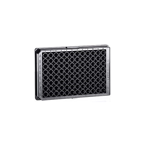 655086 • Greiner BioOne® Cellstar® Cell Culture Plate, 96well, Flat